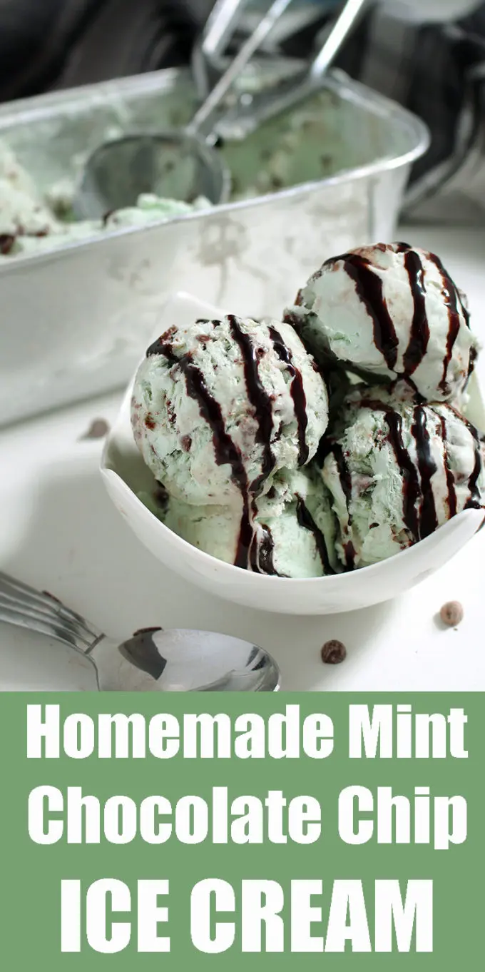 Homemade Mint Chocolate Chip Ice Cream