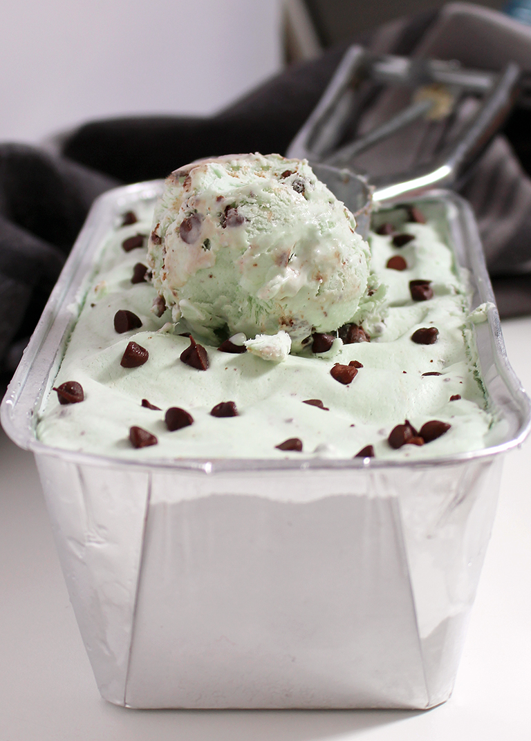 IMG_5962 Homemade Mint Chocolate Chip Ice Cream