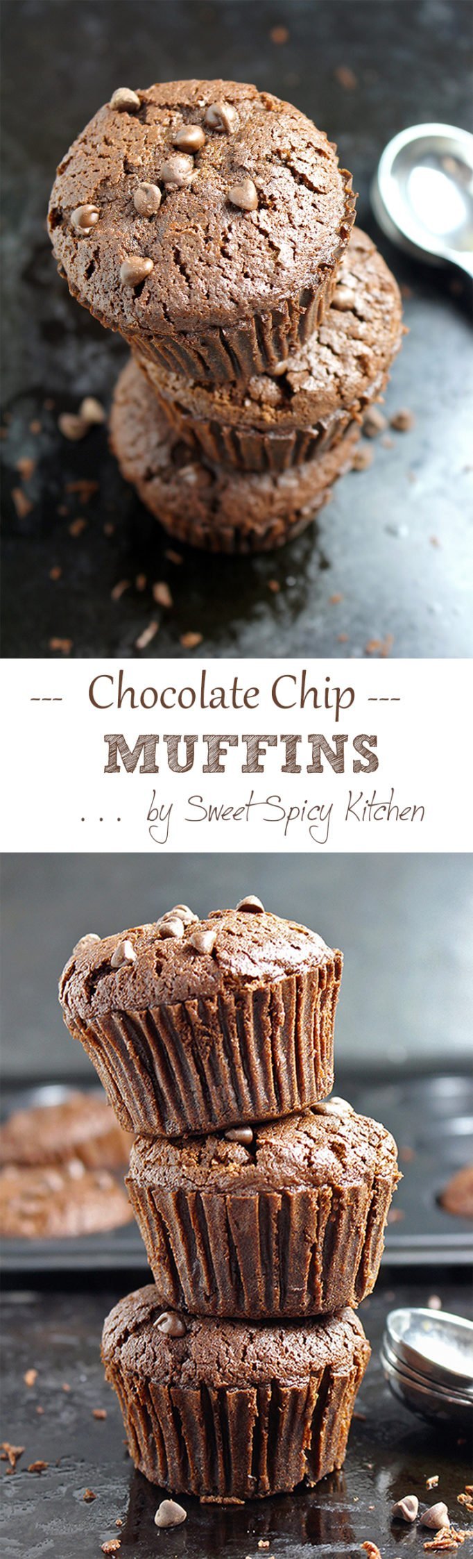 Calling out for all of the chocoholics! Chocoholic Chocolate Chip Muffins recipe.. for complete chocolate pleasure, these muffins are a chocolate-lover’s dream