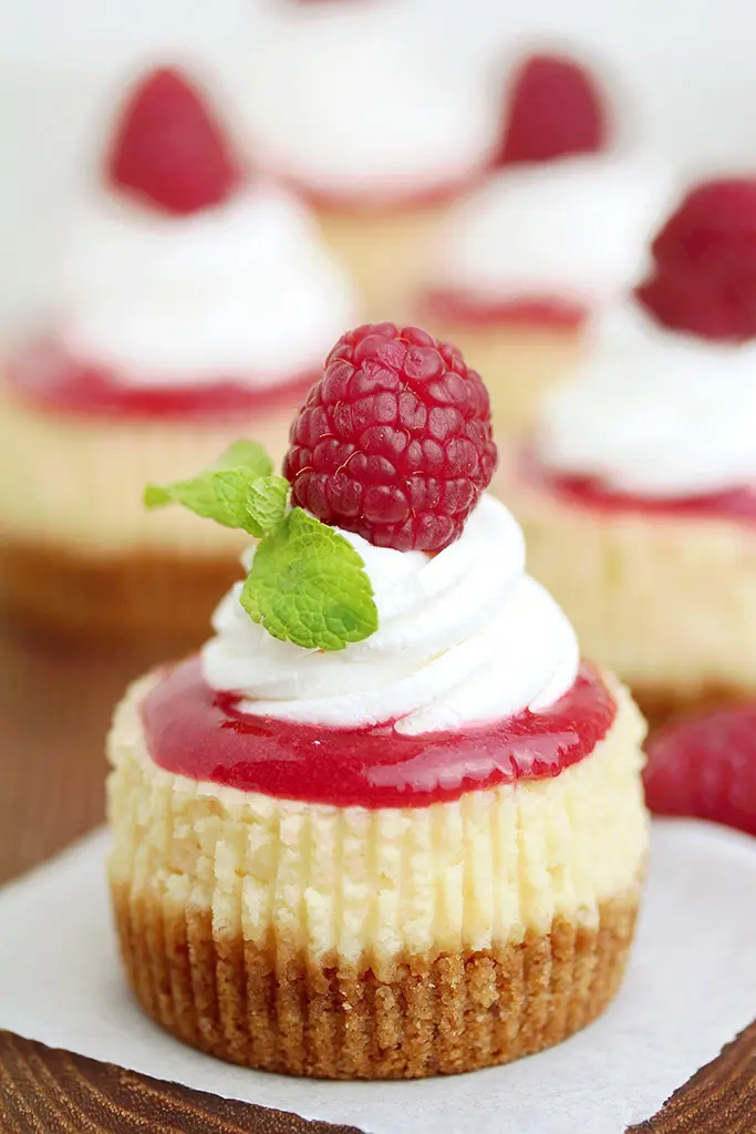 Raspberry Mini Cheesecakes